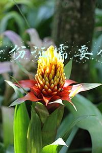 补办身份证需要什么手续