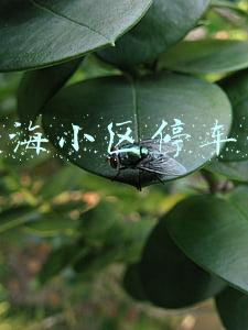 上海小区停车费