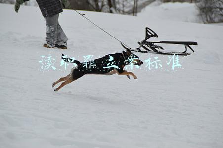 医生渎职罪立案标准(学习吧《助推》九，美国的医患纠纷，患者真的能获得巨额赔偿？)
