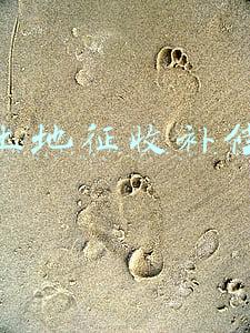 2022集体土地征收补偿条例(土地征收补偿安置方案公告)