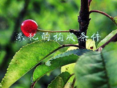 累犯的构成条件