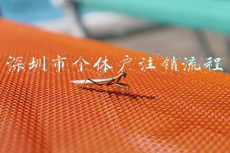 深圳个体户怎么注销(深圳个体户营业执照工商税务注销的流程及材料)