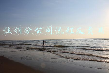 注销分公司流程超详细(注销公司需要的五个步骤)