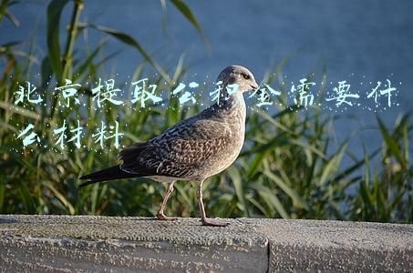 北京提取公积金需要什么材料