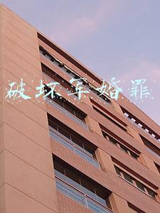 破坏军婚罪