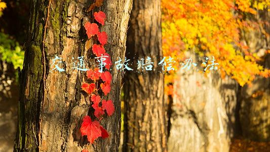 交通事故赔偿办法