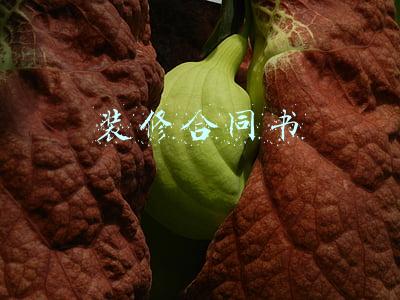 装修合同书