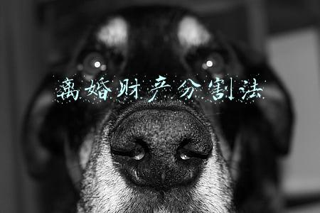 离婚财产分割法
