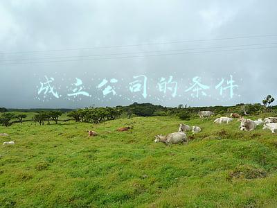 成立公司的条件