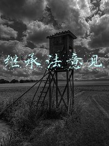 继承法意见