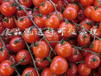 食品流通许可证办理