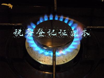 国税和地税登记证副本照片(发票基础知识)