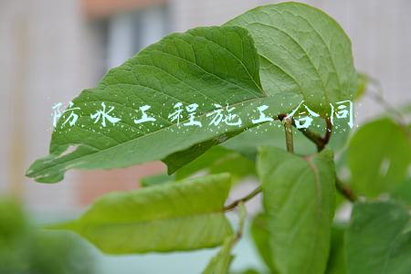 防水工程施工合同范本(防水施工合同范本)