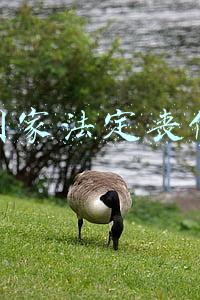 国家法定丧假