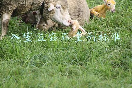 入室盗窃罪量刑标准2019(南昌：两惯犯男子入室盗窃他人金首饰等财物，获刑！)
