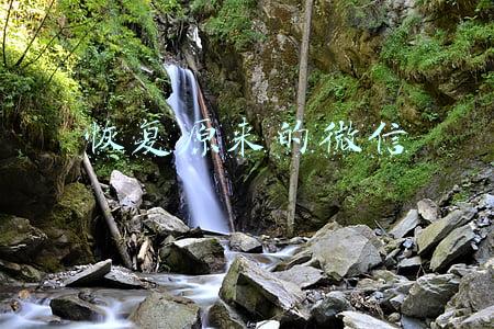 恢复原来的微信
