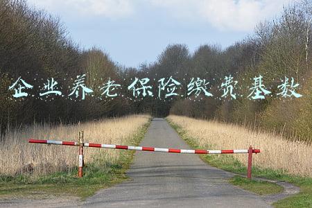 企业养老保险缴费基数