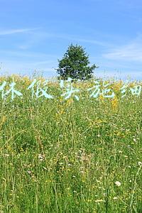 湖南省带薪年休假实施细则(带薪年休假细则出台 网民感叹“迟来的爱”)