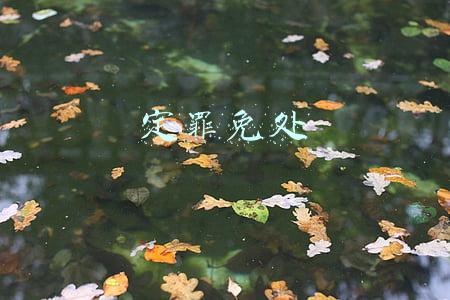 定罪免处