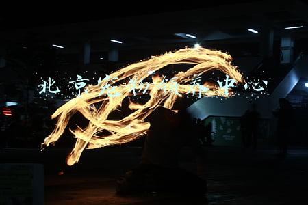 北京宠物领养中心