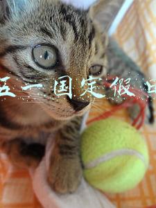 五一国定假日