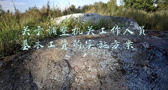关于调整机关工作人员基本工资的实施方案