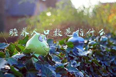 赡养人口数是指什么