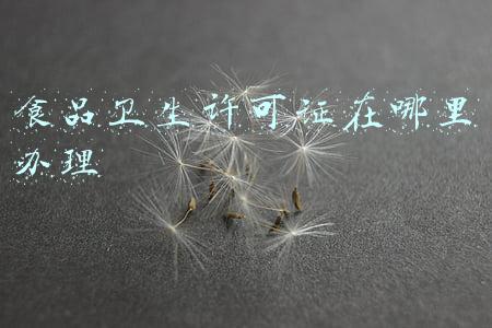 卫生食品许可证去哪里办(食品卫生许可证办理需要什么条件，什么要求呢？)