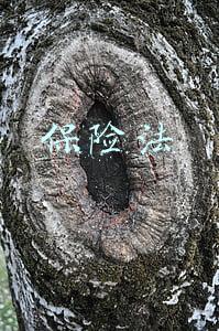 保险法司法解释三(最高法院发布保险法司法解释（三）)