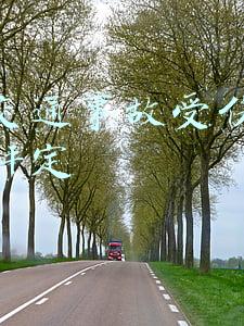 道路交通事故受伤人员伤残评定 国家标准(交通事故伤残鉴定标准)