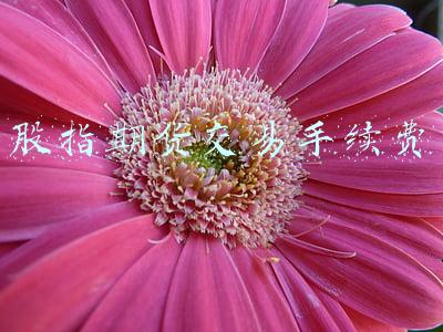 股指期货手续费(股指期货在各大券商期货公司一般最低手续费能做到多少？)