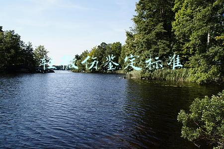 轻微伤鉴定标准