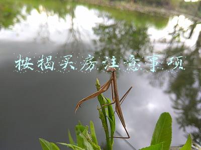 按揭买房注意事项