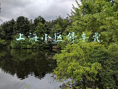 上海小区停车费