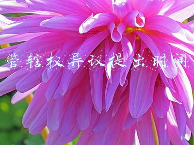 管辖权异议提出时间