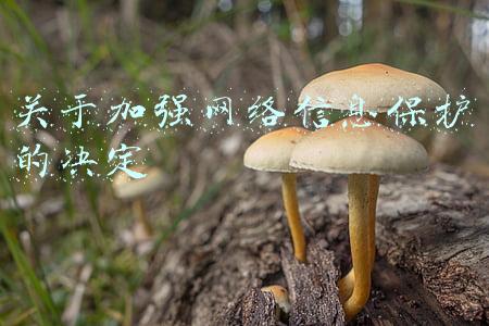 关于加强网络信息保护的决定