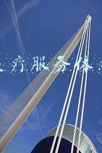 医疗服务体系