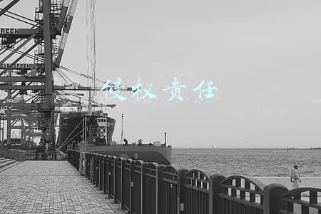 侵权责任