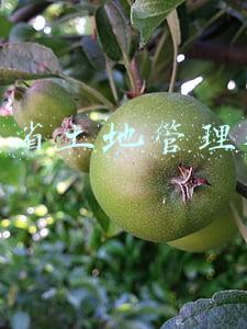 河北省土地管理条例