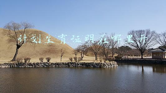 在外地计划生育证明在哪里开(广东明确生育子女无须再审批，外地户口也可办理生育登记)
