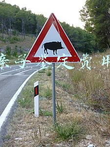 亲子鉴定费用