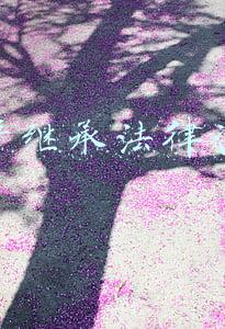 房产继承法律咨询电话(【法律服务专栏】12348法律服务热线为您答疑解难（八）)