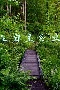 大学生自主创业基金