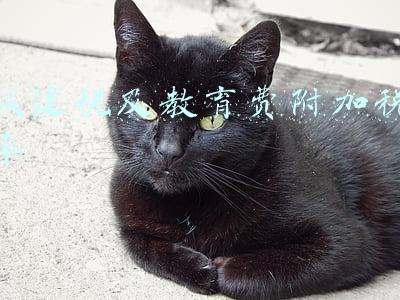 城建税及教育费附加税率