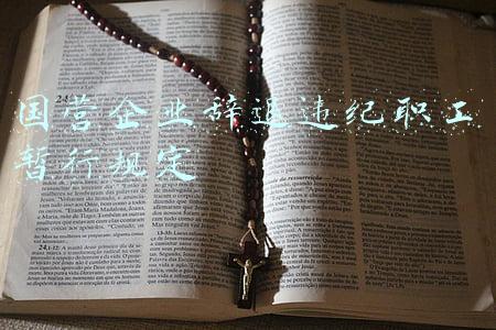 国营企业辞退违纪职工暂行规定