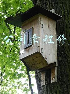 有限公司章程修正案