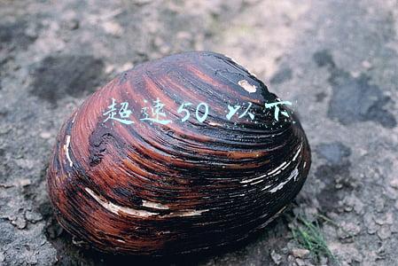 超速50 以下