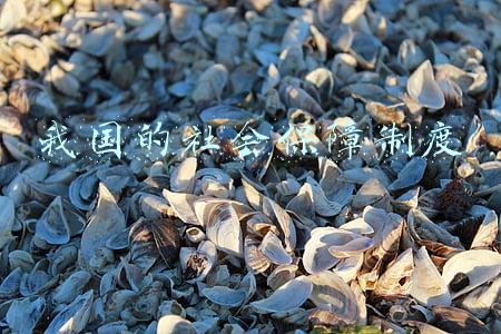 我国的社会保障制度具有以下特点(中国特色社会主义制度的最大优势)