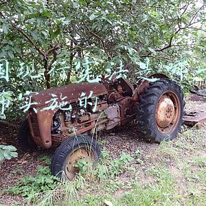 我国现行宪法是哪一年颁布实施的