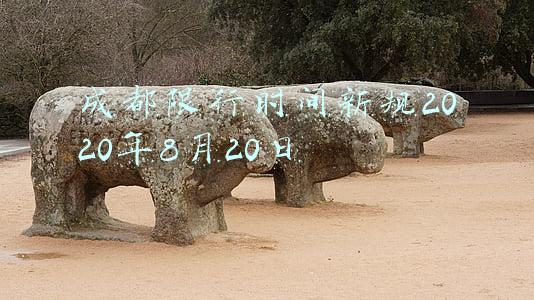 成都限行时间新规2020年8月20日